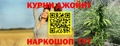 apvp Краснодар