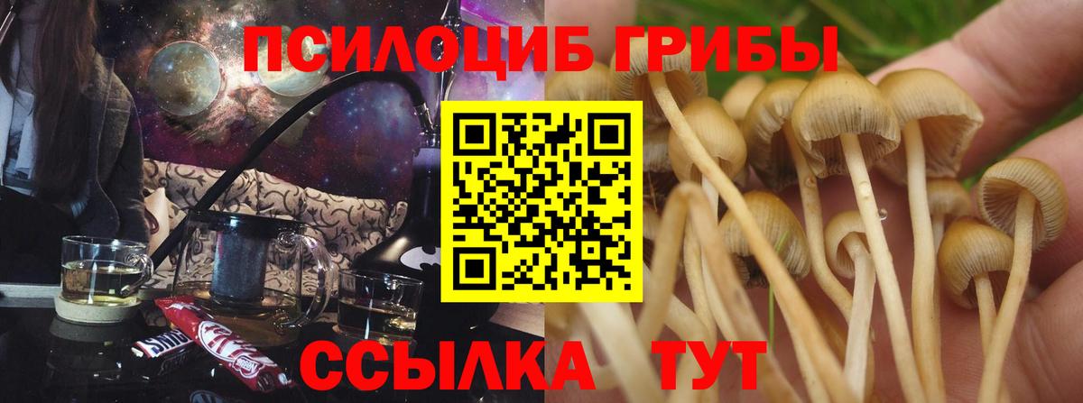 Псилоцибиновые грибы Psilocybine cubensis  Вход с VPN  Киров 